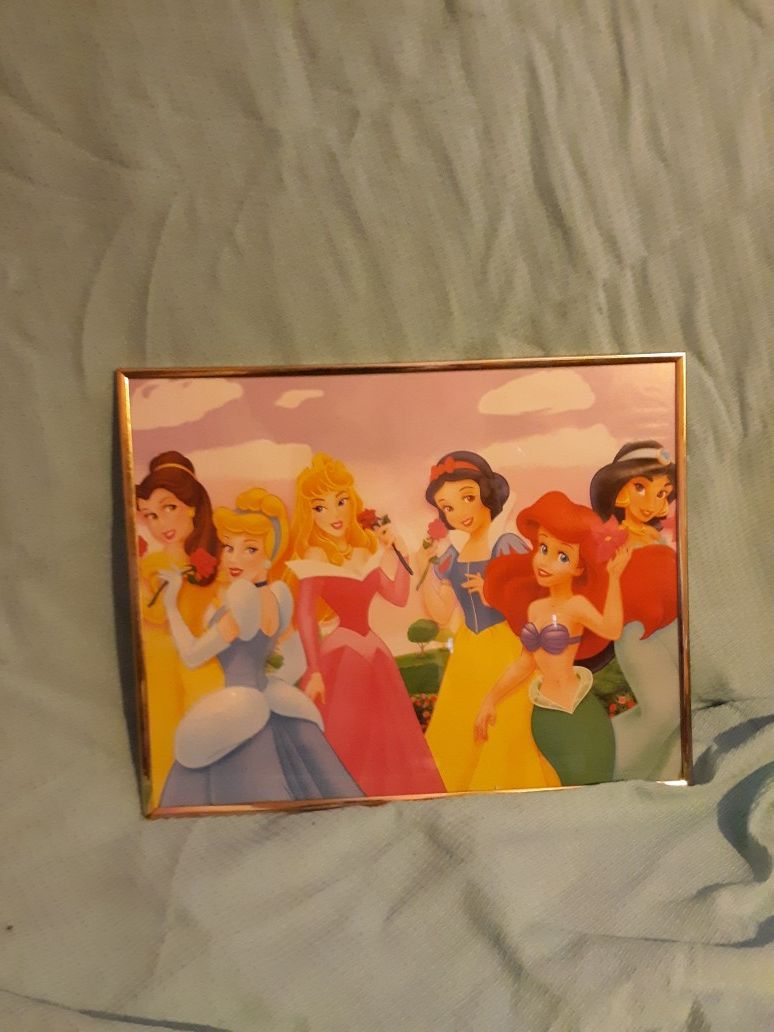 Disney princess framed picture