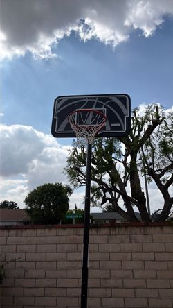 lifetime basketball hopp