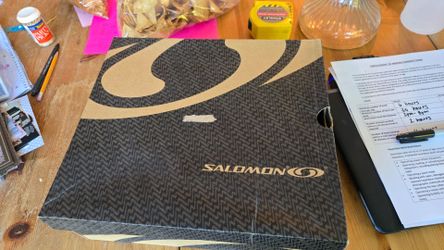 Salomon hiking shoes