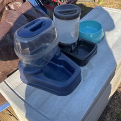 dog bowls