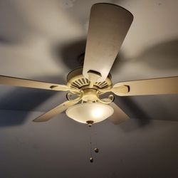 Hampton Bay Ceiling Fan with Light