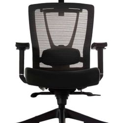Autonomous Chair Pro