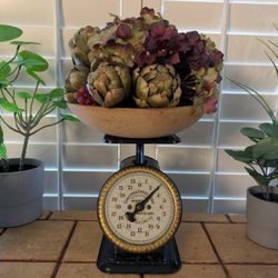 Antique Kitchen Scale