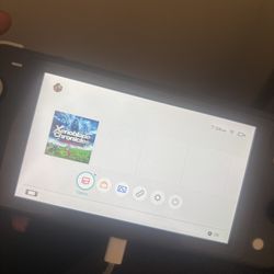 Nintendo Lite Switch Comes With Game