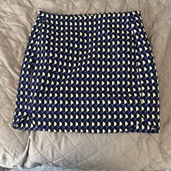 J Crew Skirt