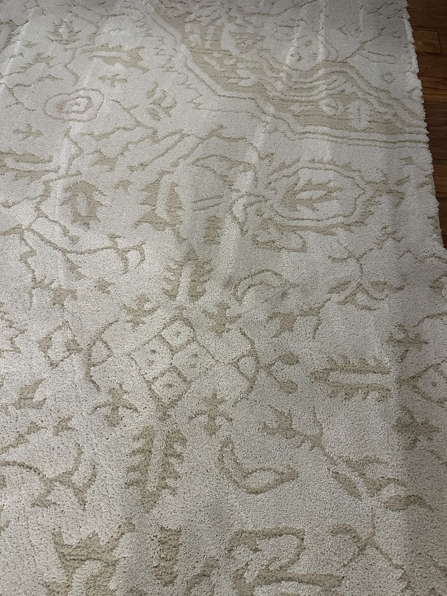 10x14  Area rug Cream/beige 