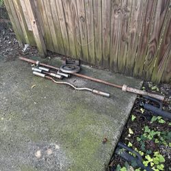 Curl Bars