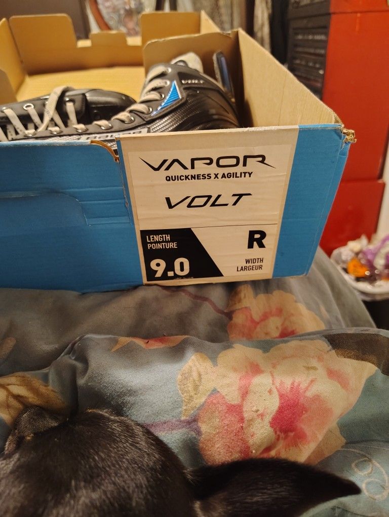 Sell A Brand Knew Pair Of Vbauer Vapor Volt Lenth Pointer 9.0 Size 9 Never Been Used