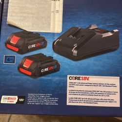 Brand New Bosch Wireless Batteries With Charger. Haven’t been used before.