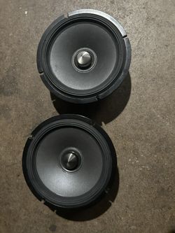 Alpine Speaker
