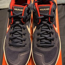 ALPHA HRCHE ELT 2 LOW  baseball spikes