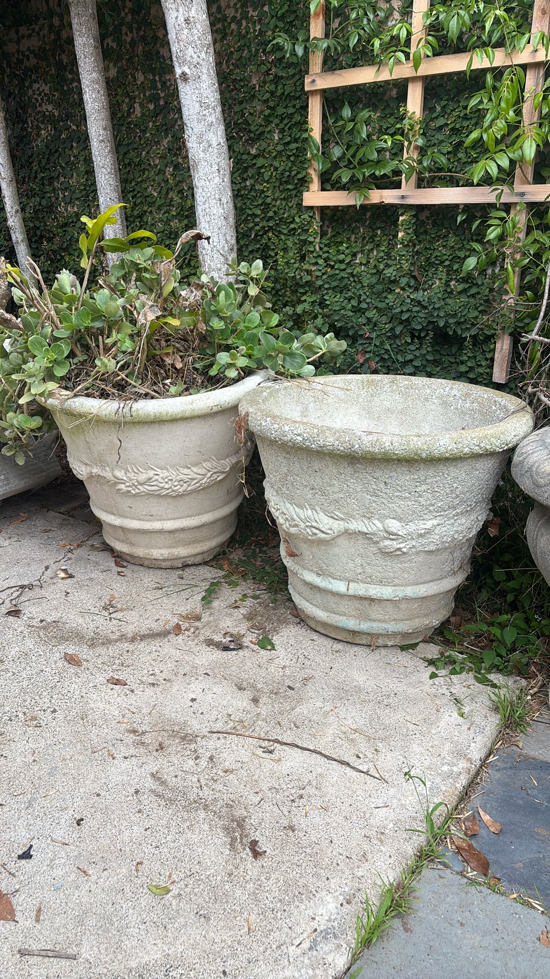 Large Plant Pots