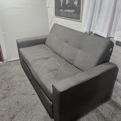 Modern Gray Sofa Bed