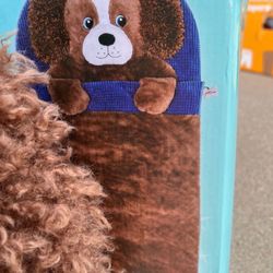 Kids Sleeping Bag (Brand New)