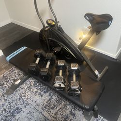 Exercise bike, weight bench, and dumb bells