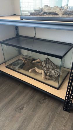 40 gallon tank
