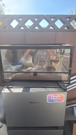 Reptizoo cage