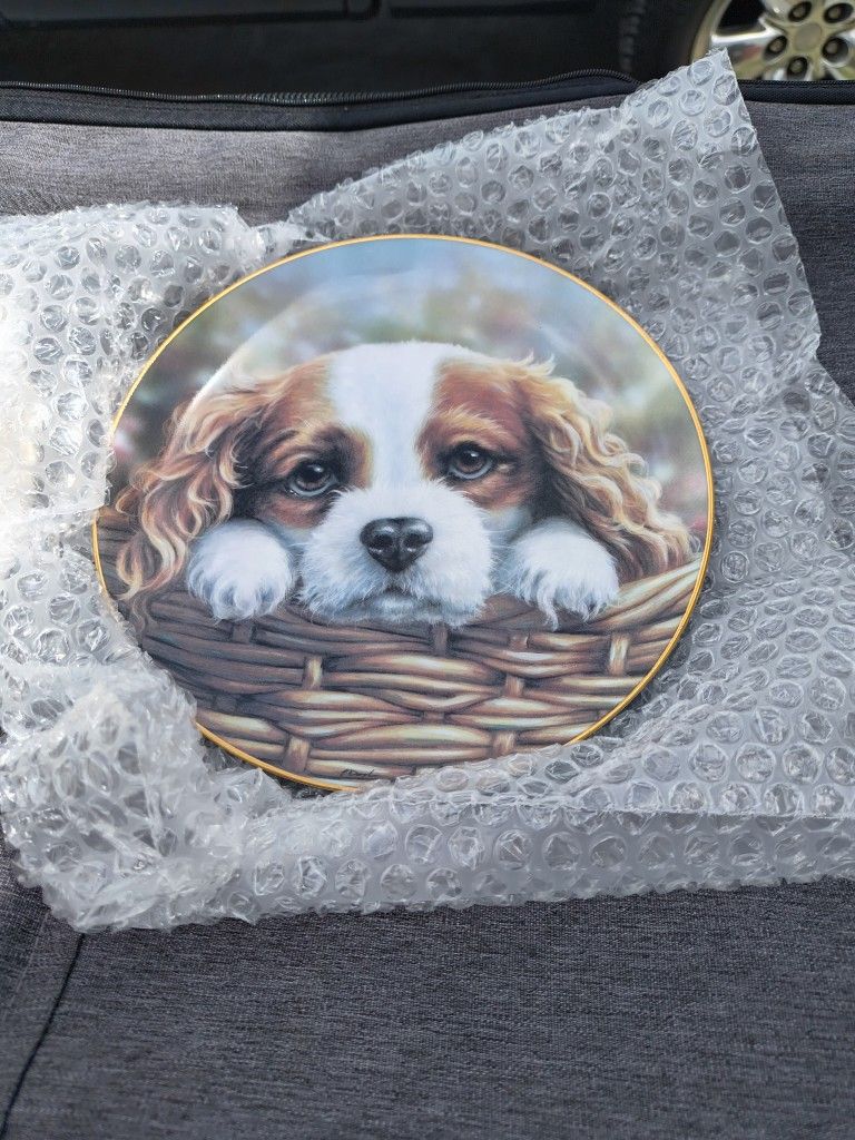 13 Collectible Plates
