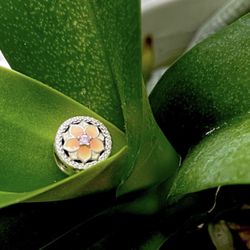 NEW Pandora limited edition flower charm.