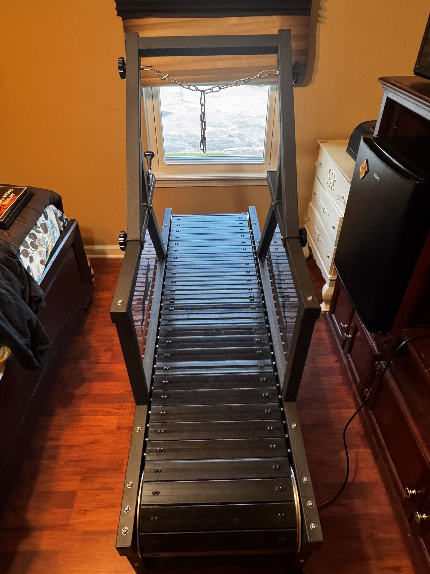 Dog Treadmill