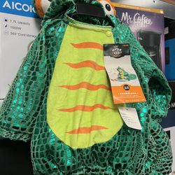 Chameleon Baby Costume