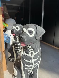 RARE Home Depot Skeleton Labs