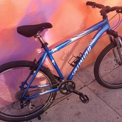 Specialized Mountain Bike 