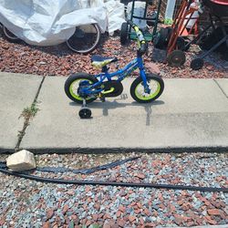 12" Valve Schwinn