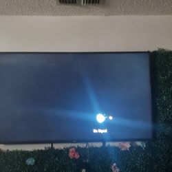 50 In LG TV 