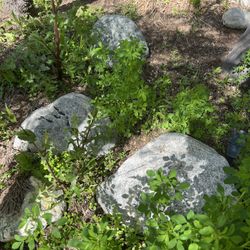 Large Decorative Yard Rocks