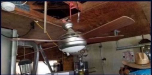 Ceiling Fan 