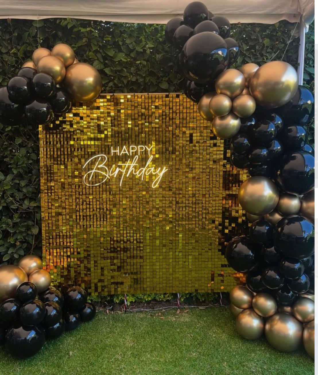 Sequin Backdrops 