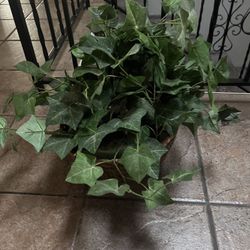 Fake Plant 