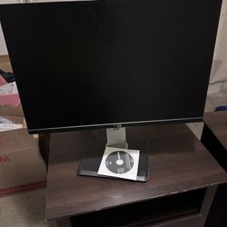 Dell 24 Inch Monitor