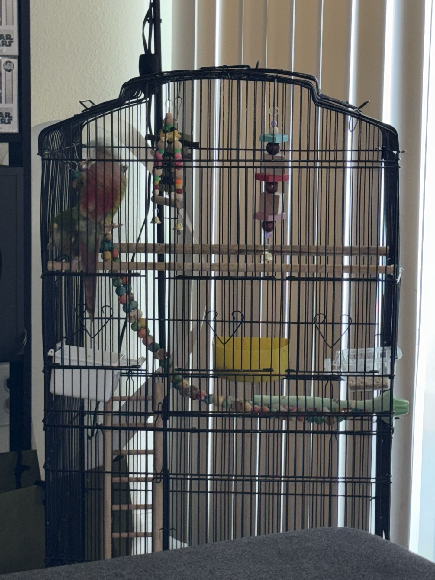 Cage