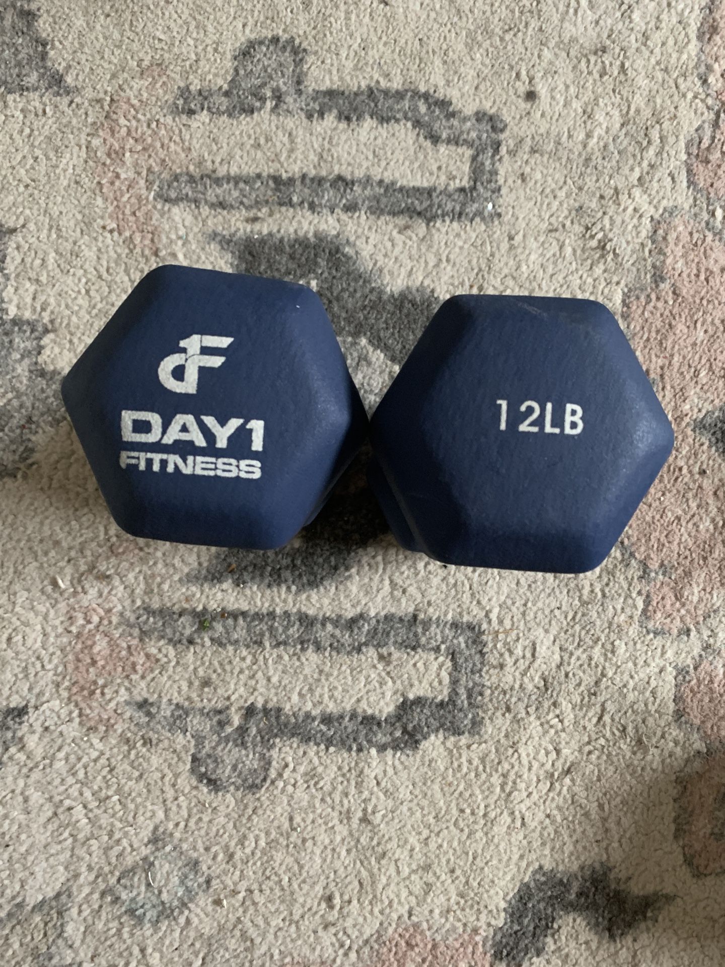 12s Dumbbells 