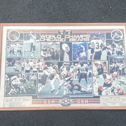 Chicago Bears Super Bowl champs Vintage Poster