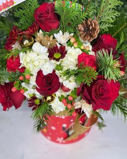 Christmas flowers Real and fresh flowers 😍