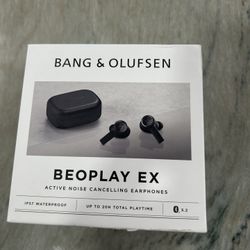 Bang & Olufsen Beoplay EX Earphones New/ Open Box 