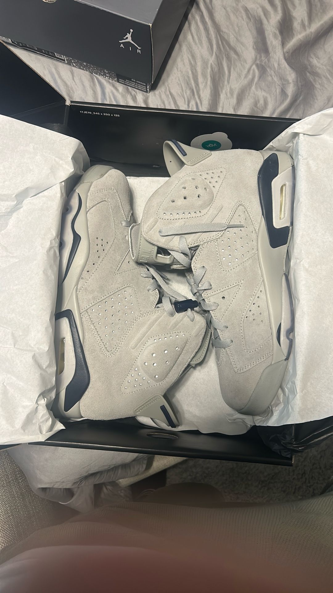 Jordan 6s