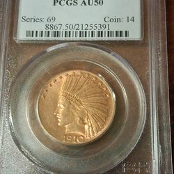 Old US Ten Dollar Native American Coin