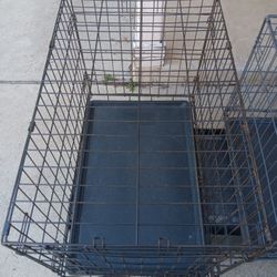 Kennel