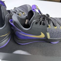 Size 9 LeBron Witness V