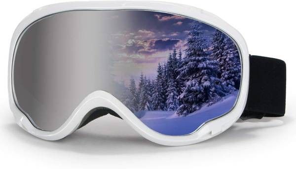 NEW Ski Goggles Men Women Snow Sport Snowboard OTG Snowmobile Youth Adult