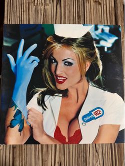 Blink-182 Vinyl LP Bundle - 6 Essential Albums (Pop-Punk Record Collection)