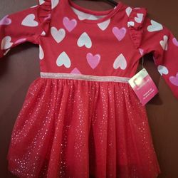 Size 12 Mos Girls Valentines Day Dress