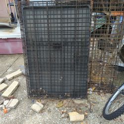 Dog Cage's 