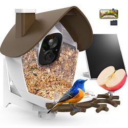 Smart Bird Feeder Cámara w/ Solar Panel