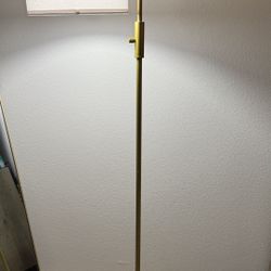 Gold Floor Lamp