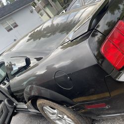 Mustang For Sale 